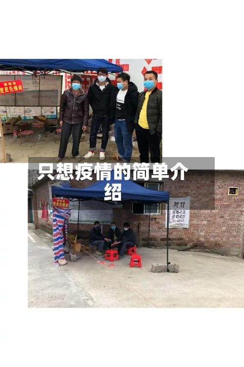 只想疫情的简单介绍