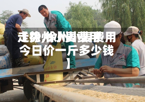 【徐州小麦费用走势,徐州小麦费用今日价一斤多少钱】-第3张图片