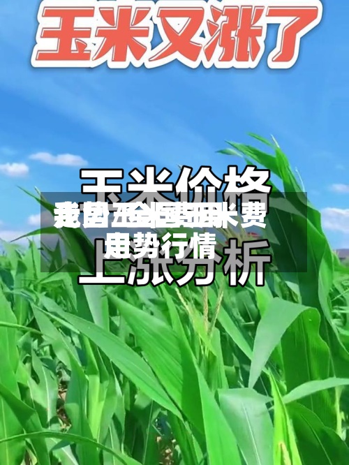 我国玉米费用走势/全国玉米费用走势行情