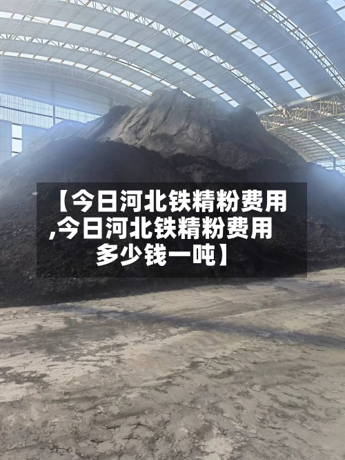 【今日河北铁精粉费用,今日河北铁精粉费用多少钱一吨】