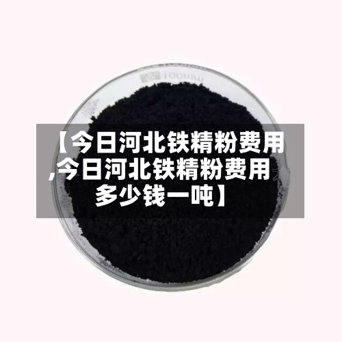 【今日河北铁精粉费用
,今日河北铁精粉费用
多少钱一吨】-第2张图片