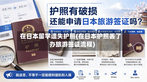 在日本留学遗失护照(在日本护照丢了办旅游签证流程)-第2张图片