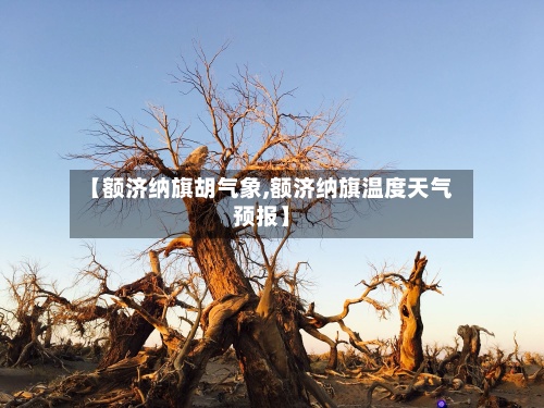 【额济纳旗胡气象,额济纳旗温度天气预报】-第3张图片