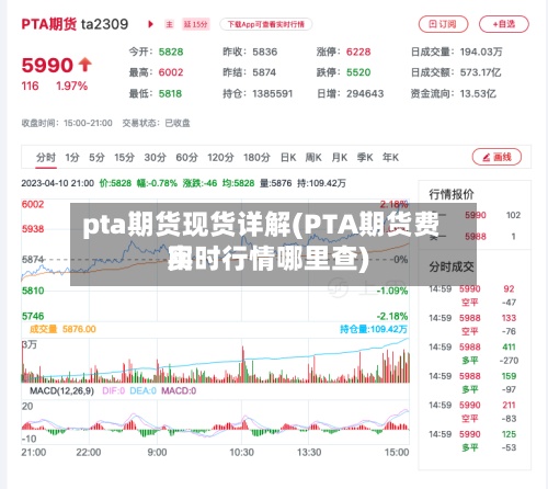 pta期货现货详解(PTA期货费用实时行情哪里查)-第2张图片