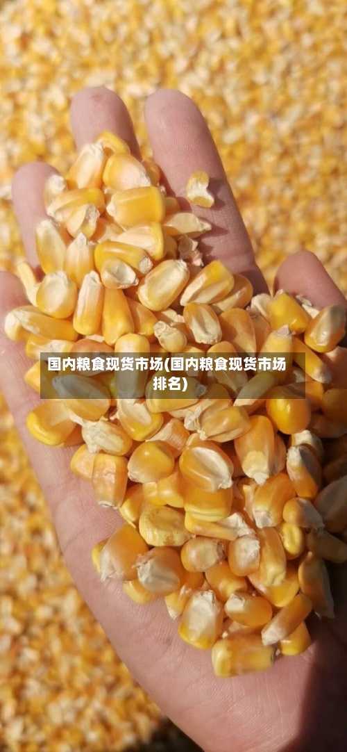 国内粮食现货市场(国内粮食现货市场排名)