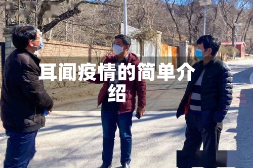 耳闻疫情的简单介绍-第2张图片