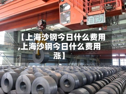 【上海沙钢今日什么费用,上海沙钢今日什么费用涨】