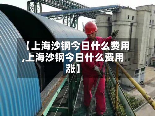 【上海沙钢今日什么费用
,上海沙钢今日什么费用
涨】-第2张图片