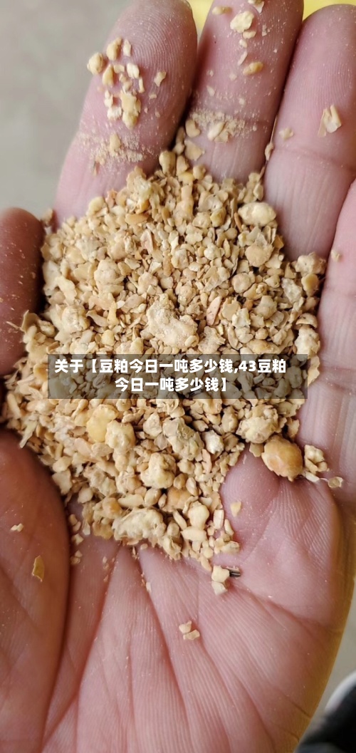 关于【豆粕今日一吨多少钱,43豆粕今日一吨多少钱】-第3张图片