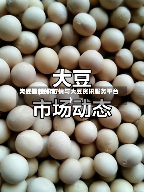 大豆最新费用与行情(豆价行情与大豆资讯服务平台)-第2张图片