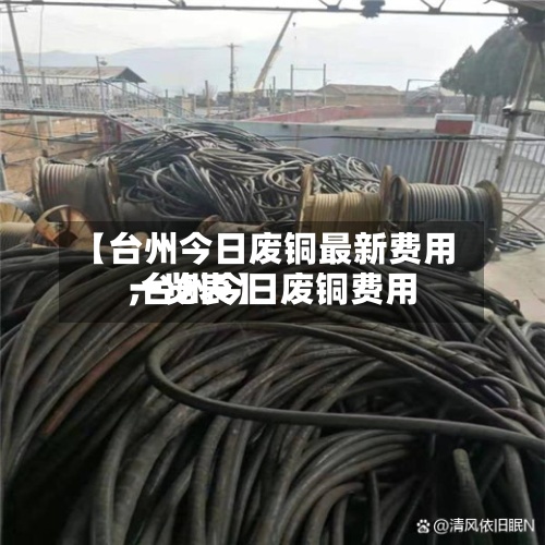【台州今日废铜最新费用,台州今日废铜费用一览表】-第3张图片