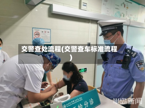 交警查处流程(交警查车标准流程)-第2张图片