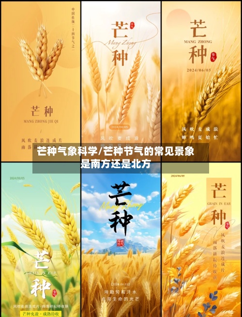 芒种气象科学/芒种节气的常见景象是南方还是北方