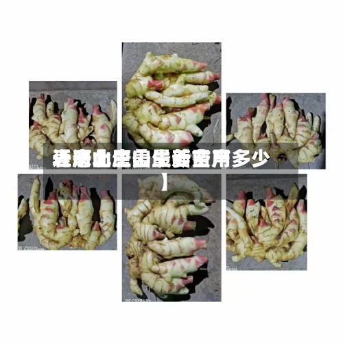近来【唐山生姜最新费用表河北唐山生姜亩产多少】
