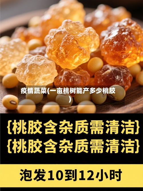 疫情蔬菜(一亩桃树能产多少桃胶)