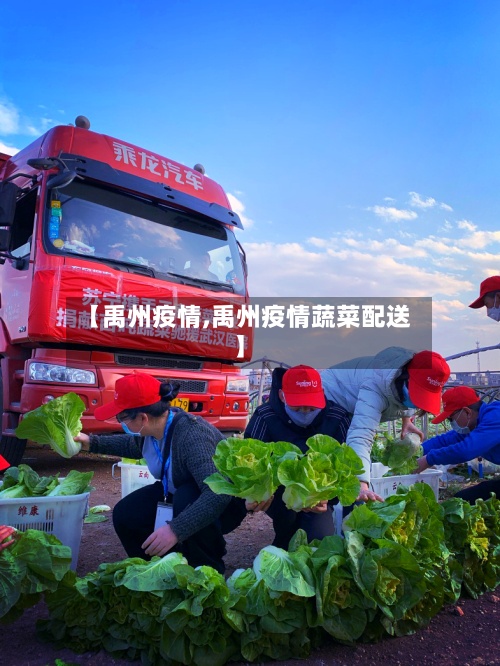 【禹州疫情,禹州疫情蔬菜配送】