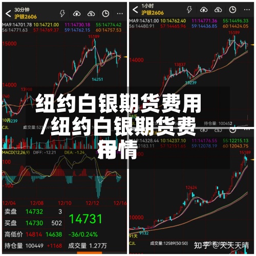 纽约白银期货费用/纽约白银期货费用行情-第2张图片