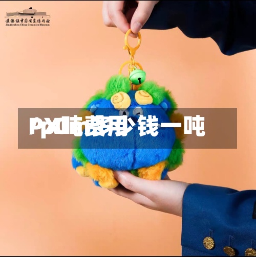 PX吨费用/p0m多少钱一吨