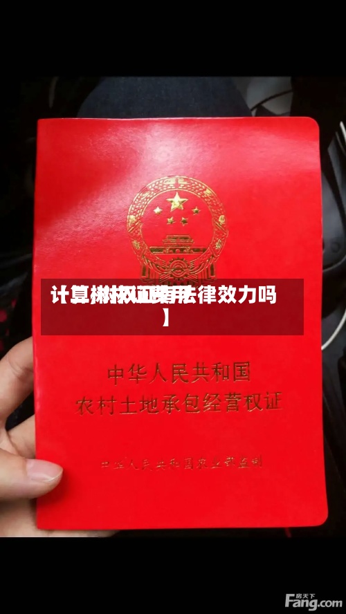 【二树权证费用
计算,树权证有法律效力吗】-第3张图片