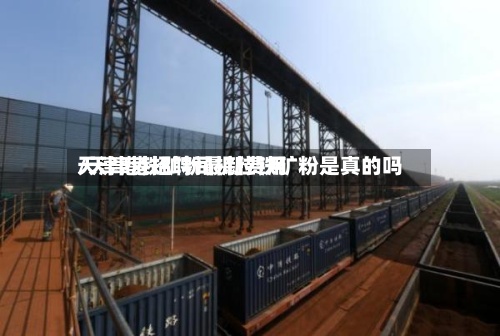 天津港铁矿粉最新费用
/天津港招聘司机拉铁矿粉是真的吗-第3张图片