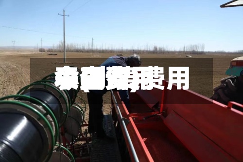 小麦费用今日费用表(小麦费用今日费用表查询)