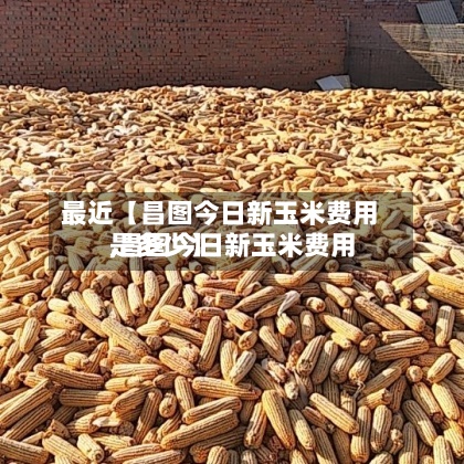 最近【昌图今日新玉米费用,昌图今日新玉米费用是多少】-第2张图片