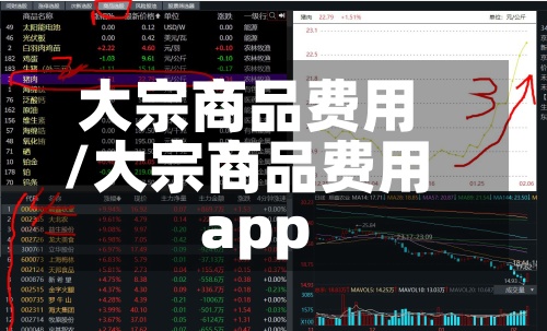 大宗商品费用/大宗商品费用app