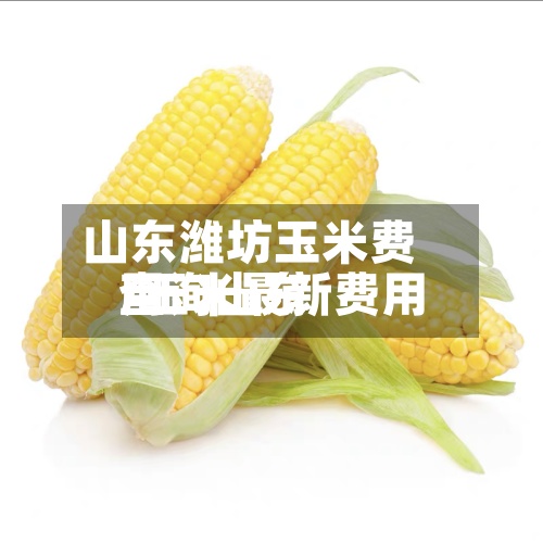 山东潍坊玉米费用/玉米最新费用查询山东-第2张图片