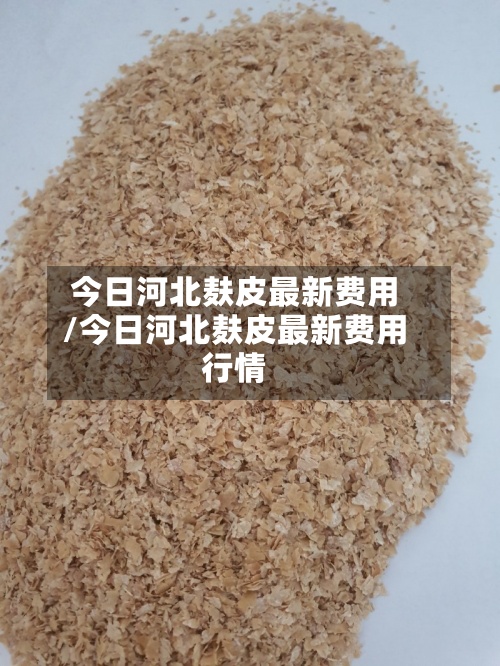 今日河北麸皮最新费用
/今日河北麸皮最新费用
行情-第3张图片