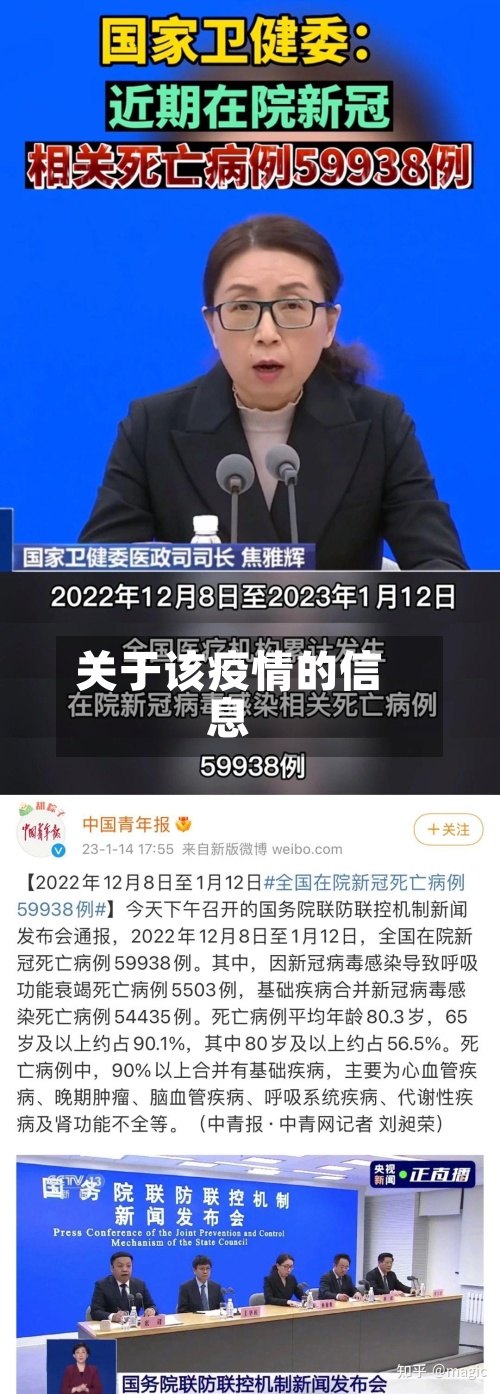 关于该疫情的信息