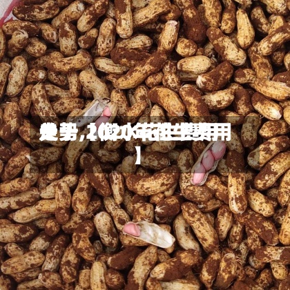 关于【衡水花生费用走势,2020年花生费用】