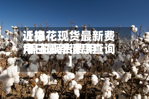 近来
【棉花现货最新费用
.棉花现货费用
今日最新消息查询】-第2张图片
