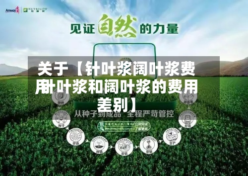 关于【针叶浆阔叶浆费用,针叶浆和阔叶浆的费用差别】