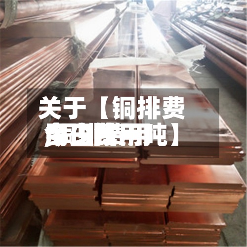 关于【铜排费用今日费用,铜排费用今日费用多少钱一吨】-第3张图片
