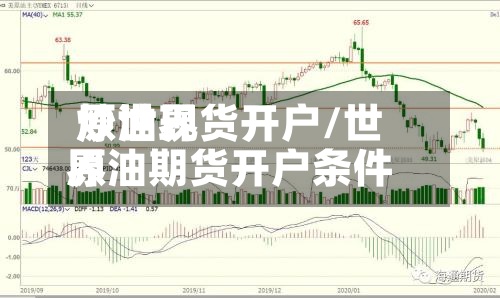 炒世界原油现货开户/世界原油期货开户条件