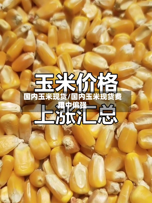 国内玉米现货/国内玉米现货费用稳中偏强