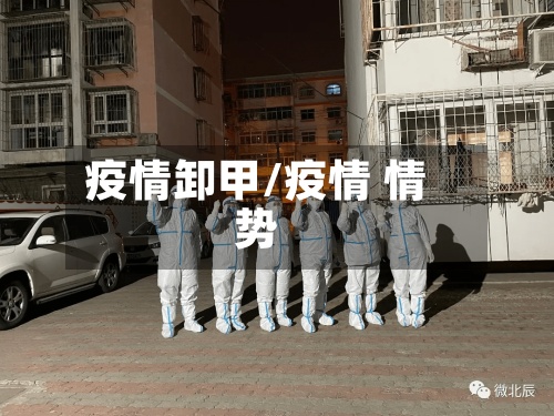 疫情卸甲/疫情 情势