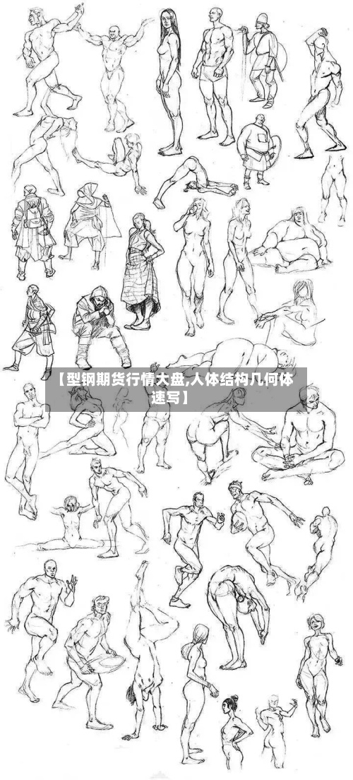 【型钢期货行情大盘,人体结构几何体速写】