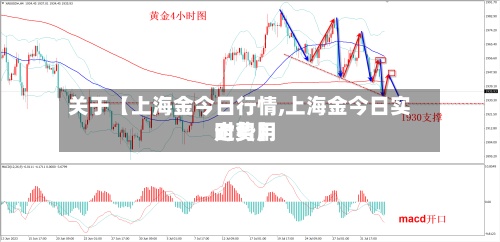 关于【上海金今日行情,上海金今日实时费用走势】