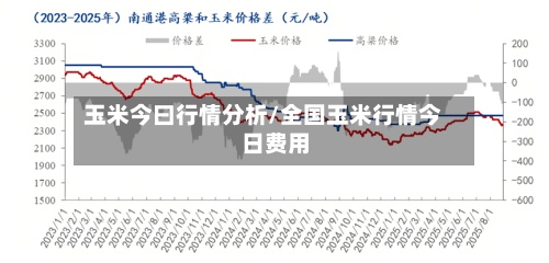 玉米今曰行情分析/全国玉米行情今日费用