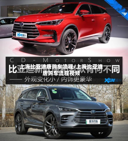 上海比亚迪唐购车流程/上海比亚迪唐购车流程视频