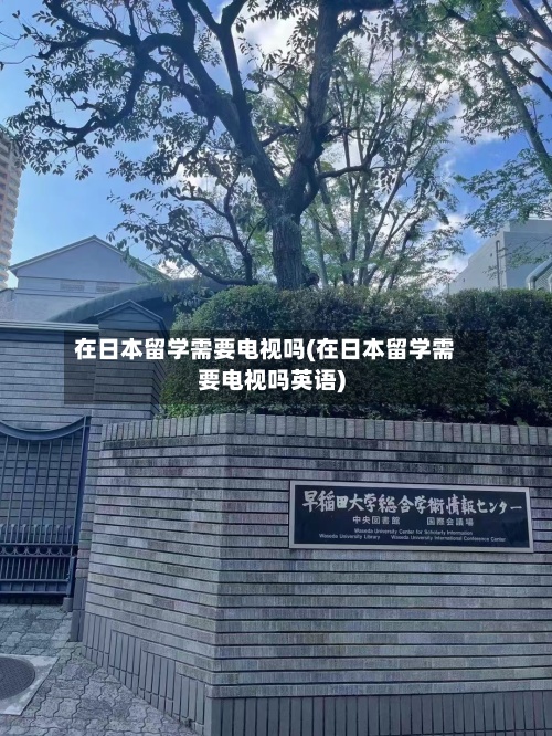 在日本留学需要电视吗(在日本留学需要电视吗英语)-第3张图片