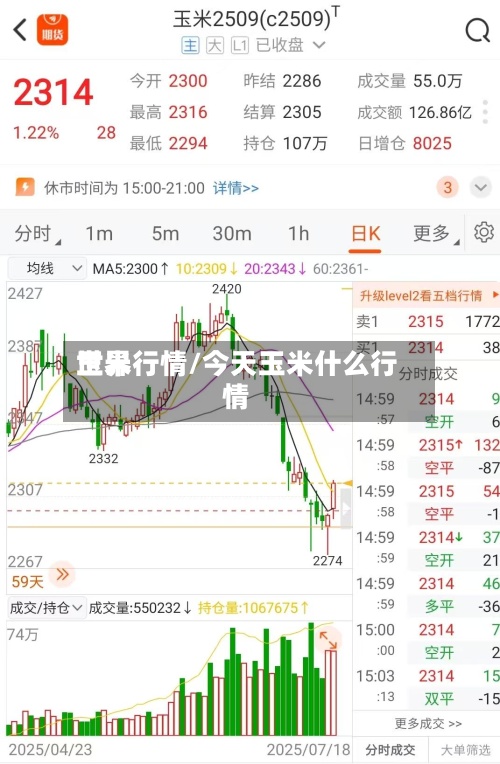 世界玉米行情/今天玉米什么行情