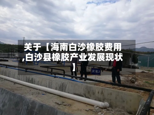 关于【海南白沙橡胶费用,白沙县橡胶产业发展现状】