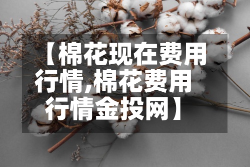【棉花现在费用行情,棉花费用行情金投网】-第2张图片