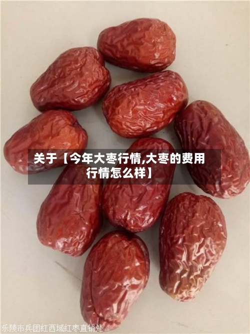 关于【今年大枣行情,大枣的费用行情怎么样】-第3张图片
