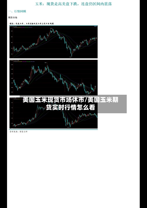 美国玉米现货市场休市/美国玉米期货实时行情怎么看-第3张图片