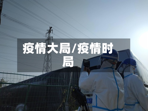 疫情大局/疫情时局