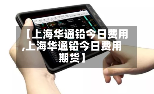 【上海华通铅今日费用,上海华通铅今日费用期货】-第3张图片