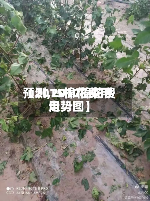 【2015棉花费用
预测,2010棉花费用
走势图】-第2张图片